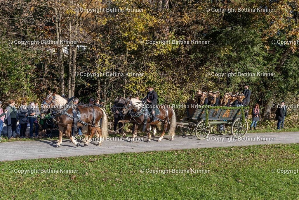 LBT24-337 | foto-bettina-krinner - Realisiert mit Pictrs.com