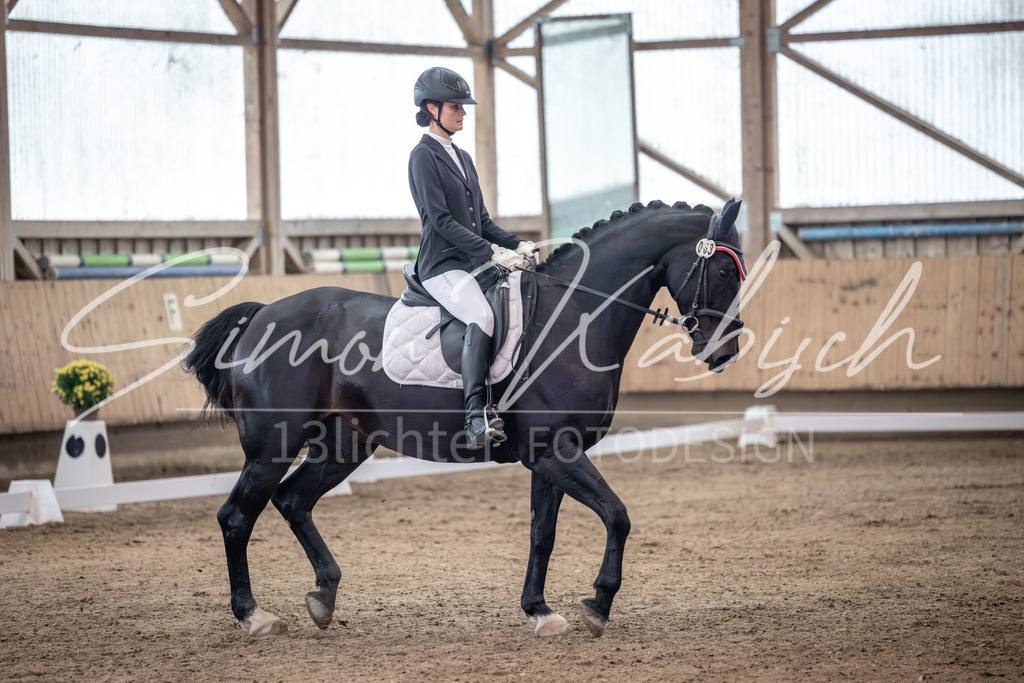 20251011-_3LI9851 | Tierfotografie Pferde, Hunde, Katzen, Haustiere.
Turnierfotografie Reitturniere, Reiten, Springreiten, Dressur in Hanau, dem Main-Kinzig-Kreis und dem Rhein-Main- Gebiet um Frankfurt