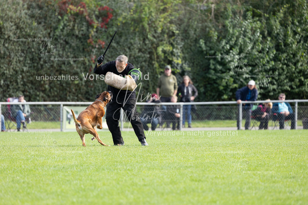 _16A5407 | Einzigartige Fotos von Hunden & Menschen –Actionfotos, Portraits, Vereinsaufnahmen & Paarshootings – authentisch, lebendig & mit Herz.