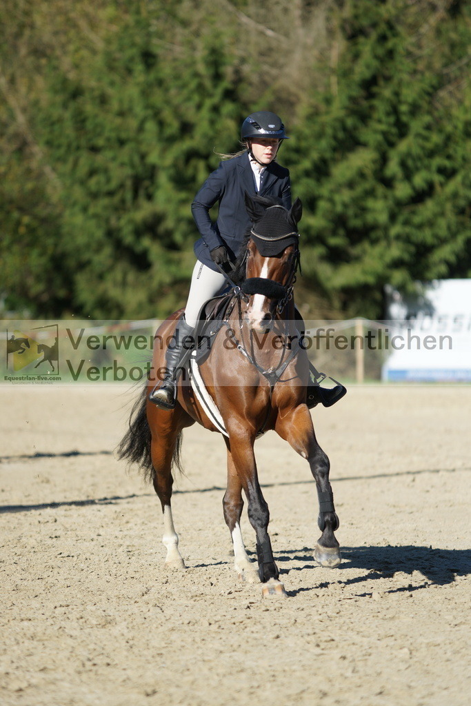 DSC08280 | equestrian-live-com