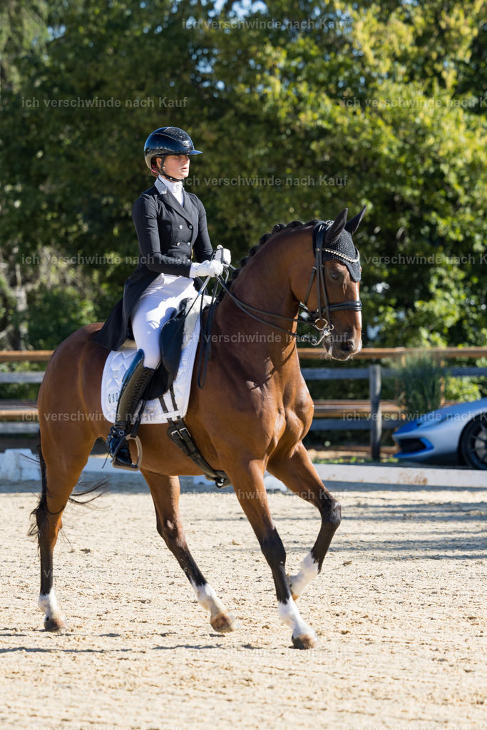 FHC2026_P07_80_17378 | working equitationturnier fotograf videograf stoibphotography marixx film working equitation deutschland reitsport turnierfotografie eventfotografie equestrian events