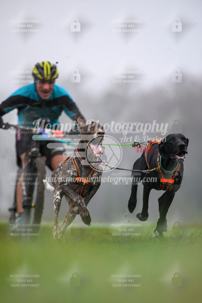 MompixPhotography_CDF2023_FFST_Di_DS2-12 | PayLife