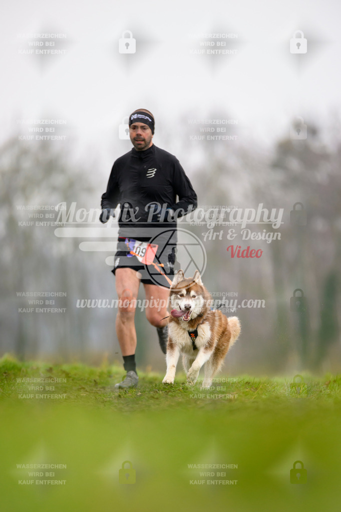 MompixPhotography_CDF2023_FFST_Di_Canicross-105 | PayLife