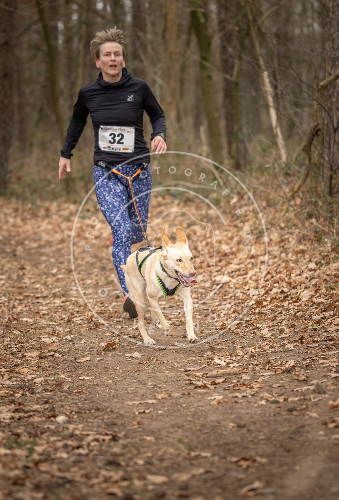 Pfotenfotografie_DV3A9444 | Hundefotografie, Tierfotograf, Pfotenfotografie, Fotoshooting Hund, Hunde Portrait, Hundesport, Hundeportraits, Heideshooting, Hunde, Sportfotograf, Hundefotograf, Turnierhundsport, THS,  - Realisiert mit Pictrs.com