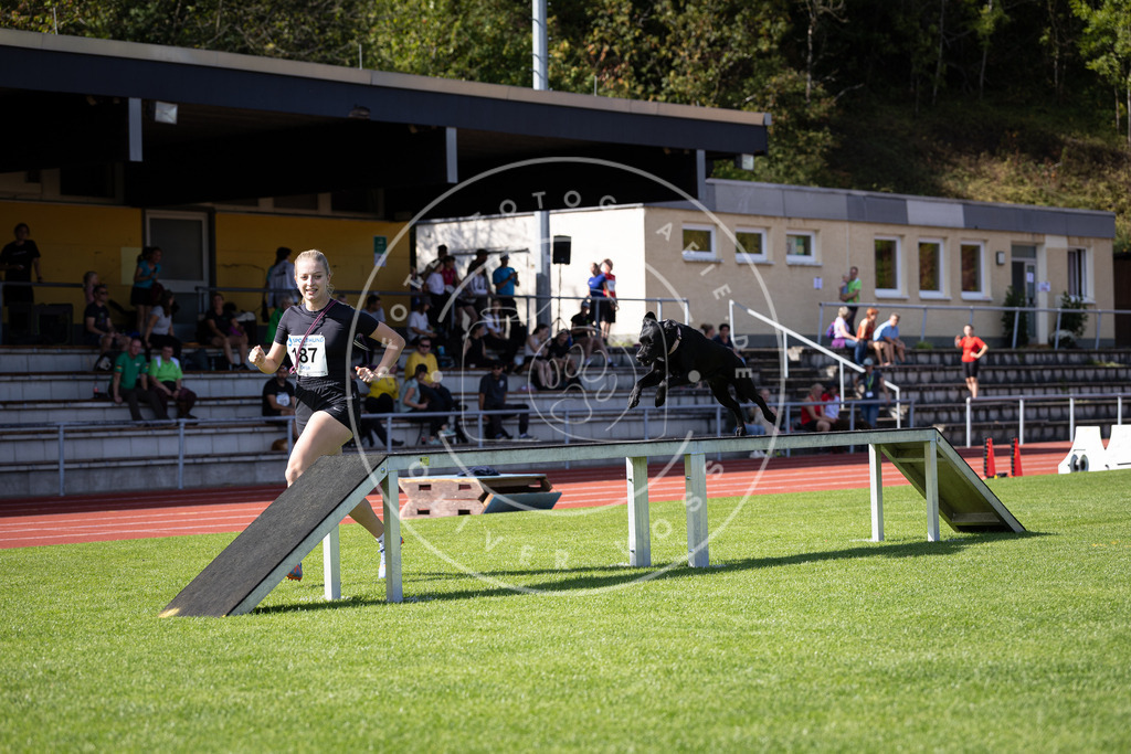 Pfotenfotografie_DV3A0450 | Hundefotografie, Tierfotograf, Pfotenfotografie, Fotoshooting Hund, Hunde Portrait, Hundesport, Hundeportraits, Heideshooting, Hunde, Sportfotograf, Hundefotograf, Turnierhundsport, THS,  - Realisiert mit Pictrs.com