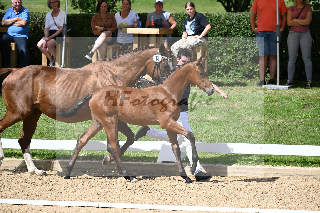 Kat-Nr. 13 SF Zenetti x Don Diamond_Schneider_27230302 | hf-fotografie - Realisiert mit Pictrs.com