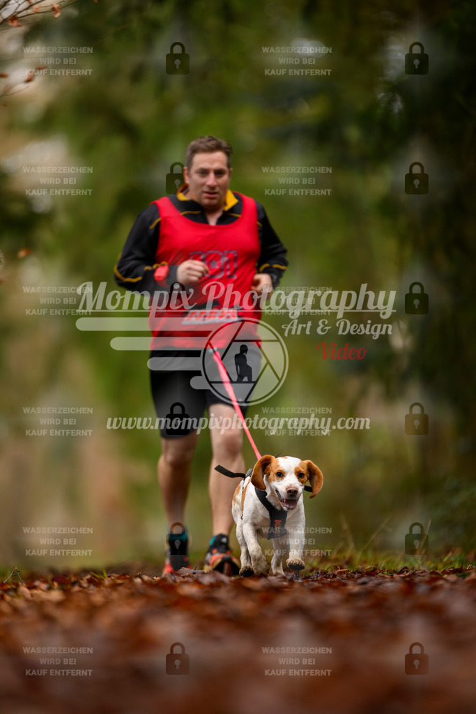 MompixPhotography_2SSTSSBW_2025_SO_Canicross-57 | PayLife