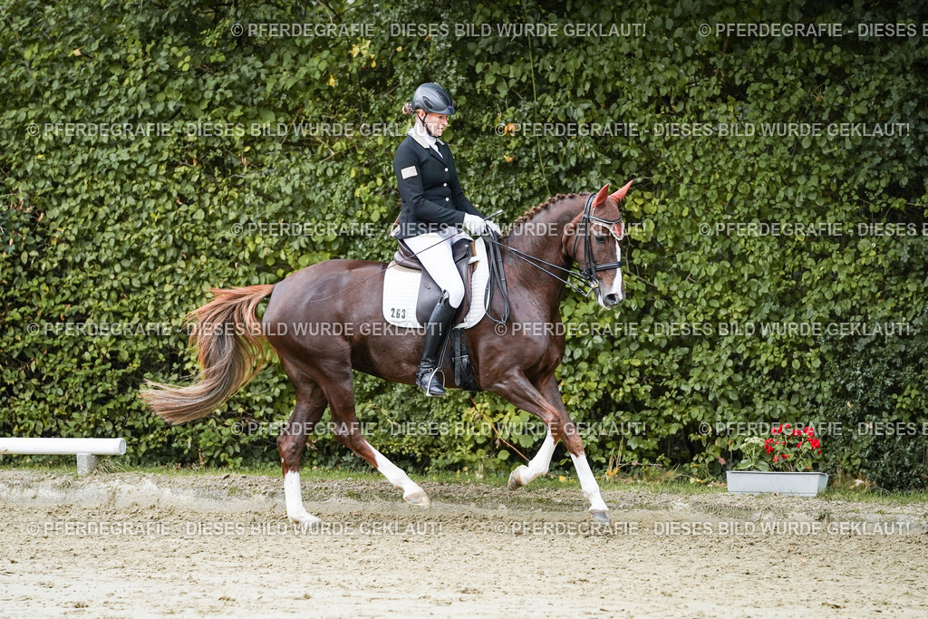 DSC06843 | Pferdegrafie