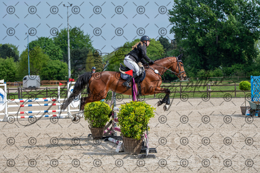 KPT_2495 | andre_photographic