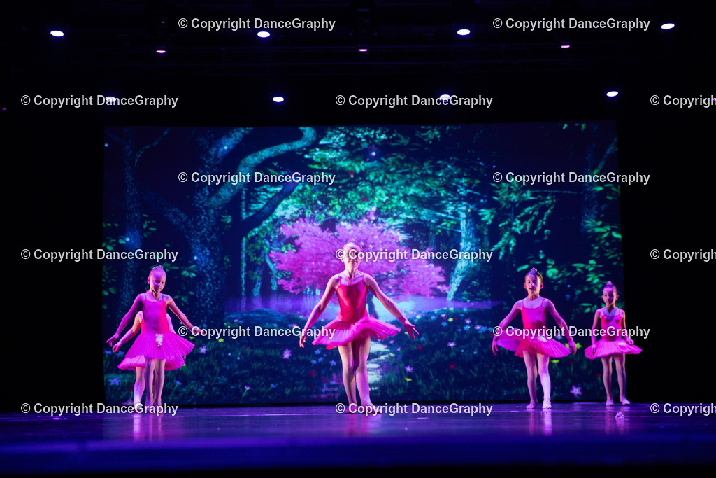 GPHY5029 | DanceGraphy - Realisiert mit Pictrs.com