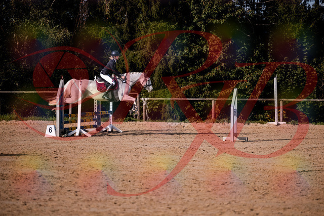 2026_10_03_Siefer-Hof_155157_Z81_71331199 | Professionelle Reitsport-, Turnier- und Eventfotografie von Robert Broda. Galerien mit ausgewählten und bearbeiteten Bildern direkt online ansehen und bestellen.