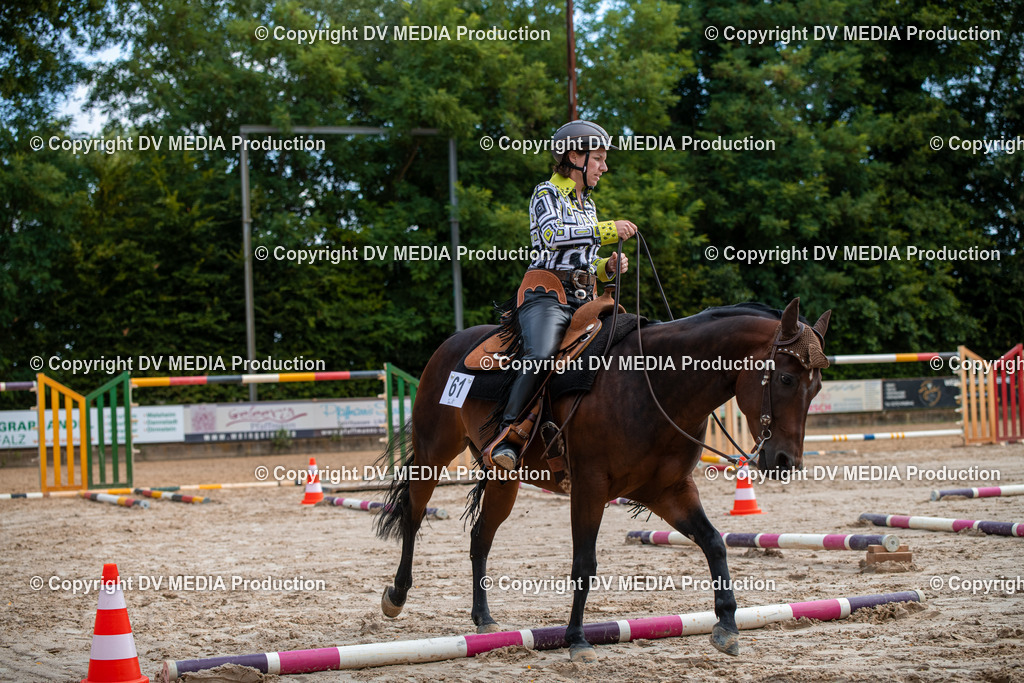 ZS3_9206 | dv-media-shop - Realisiert mit Pictrs.com