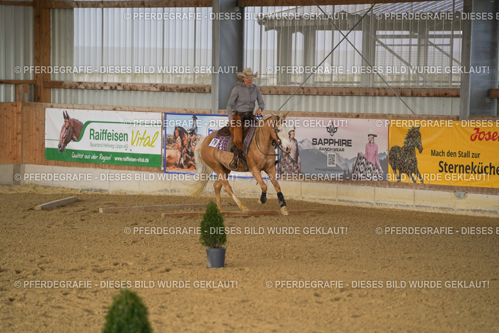 DSC01309 | Pferdegrafie