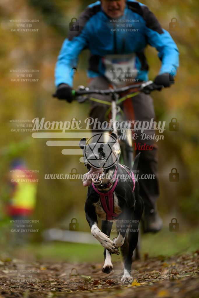MompixPhotography_Bischwiller24_SA_VTT-51 | PayLife