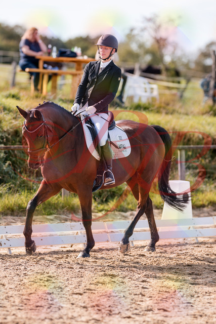2026_10_03_Siefer-Hof_130901_Z81_62818422 | Professionelle Reitsport-, Turnier- und Eventfotografie von Robert Broda. Galerien mit ausgewählten und bearbeiteten Bildern direkt online ansehen und bestellen.