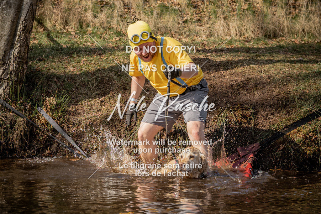 nelerasche_FS1330-1400_155 | nelerasche
