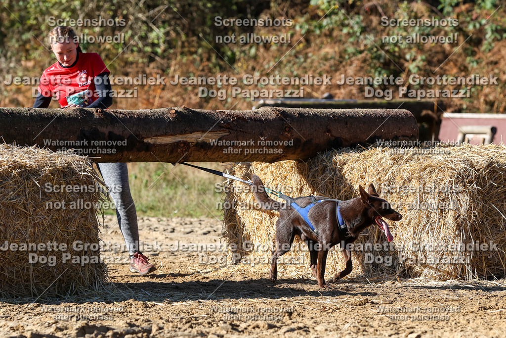 Dog Paparazzi - Strongdog 10-25-2501 | Dog Paparazzi Jeanette Grottendiek Fotografie & Videografie