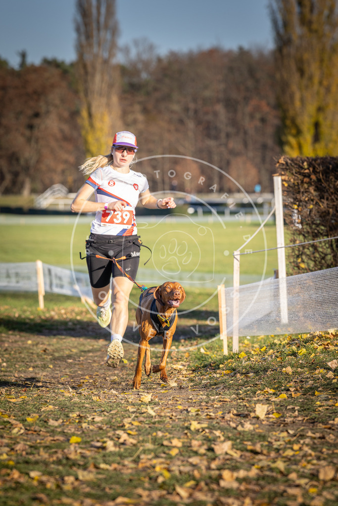 CaniXpix_DV3A2199 | Hundefotografie, Tierfotograf, Pfotenfotografie, Fotoshooting Hund, Hunde Portrait, Hundesport, Hundeportraits, Heideshooting, Hunde, Sportfotograf, Hundefotograf, Turnierhundsport, THS,  - Realisiert mit Pictrs.com