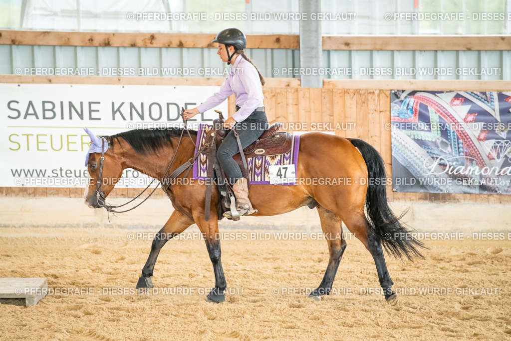 DSC07106 | Pferdegrafie