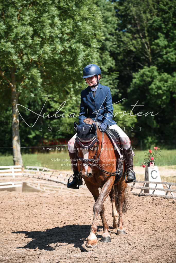 DSC_3557 | Pferde- und Turnierfotografie in Westsachsen. Pferdeportraits, Auftragszeichnungen und intuitive Kunst.