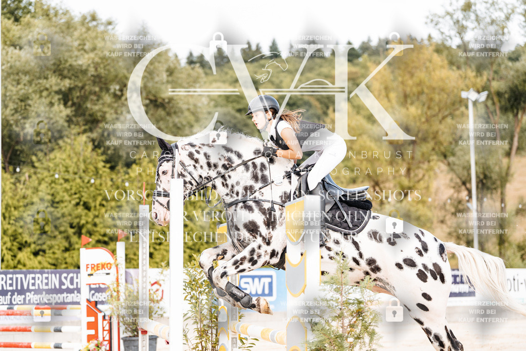 CK908929 | Turnierfotografie Pferdefotografie Trier Rheinland-Pfalz Pferdesport Reitsport Tierfotografie Sportfotografie Pferdevideo Pferdevideografie Equestrianvideography equestrianphotography  - Realisiert mit Pictrs.com
