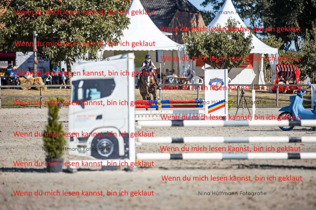 BK1A8079 | Turnierbilder Turnierfotos Nina Hüffmann Turnierfotografie Pferdefotografie Tierzeichnung Haustierzeichnung Pferdezeichnung Hundezeichnung Videograf  - Realisiert mit Pictrs.com
