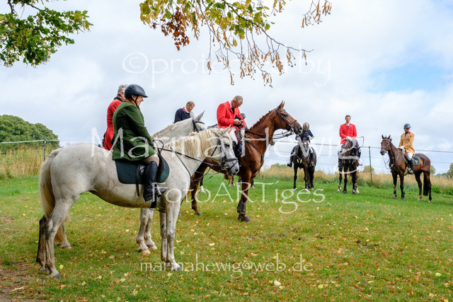 Jagd Kletkamp 26-9608_MarinaHewig | Fotografie, FotoArt, PferdesportArt, Pferdesportfotografie, Landschaftsfotografie, Reisefotografie, Reise, Pferde - Realisiert mit Pictrs.com