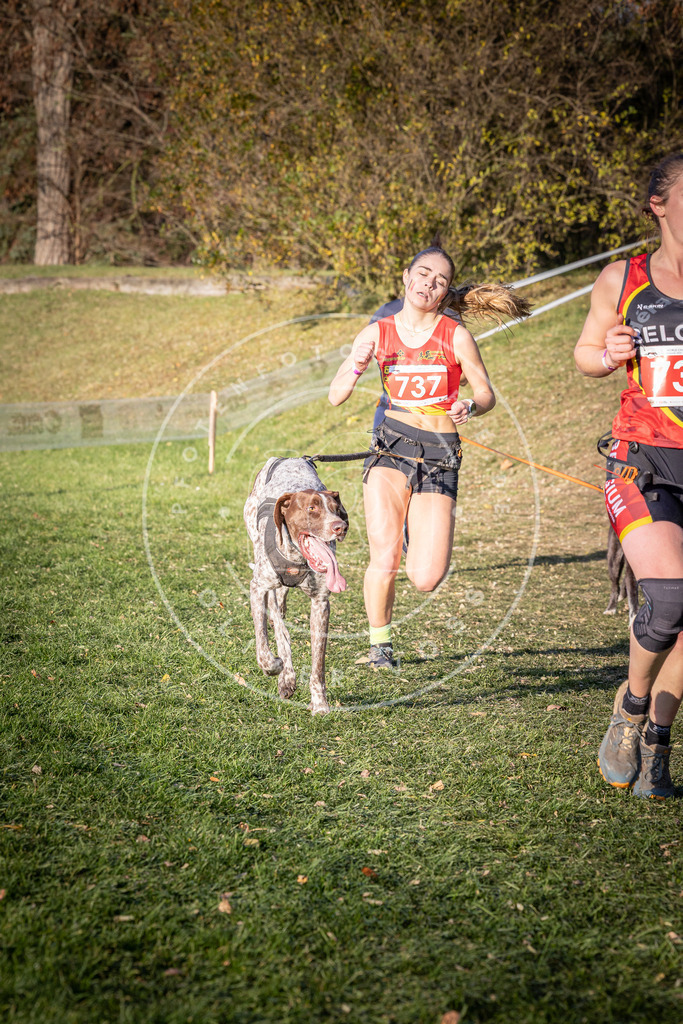 CaniXpix_0L8A9809 | Hundefotografie, Tierfotograf, Pfotenfotografie, Fotoshooting Hund, Hunde Portrait, Hundesport, Hundeportraits, Heideshooting, Hunde, Sportfotograf, Hundefotograf, Turnierhundsport, THS,  - Realisiert mit Pictrs.com