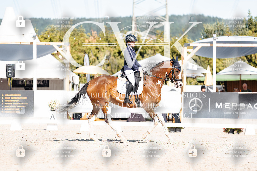 CK908184 | Turnierfotografie Pferdefotografie Trier Rheinland-Pfalz Pferdesport Reitsport Tierfotografie Sportfotografie Pferdevideo Pferdevideografie Equestrianvideography equestrianphotography  - Realisiert mit Pictrs.com