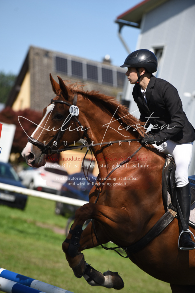 DSC_9191 | Pferde- und Turnierfotografie in Westsachsen. Pferdeportraits, Auftragszeichnungen und intuitive Kunst.