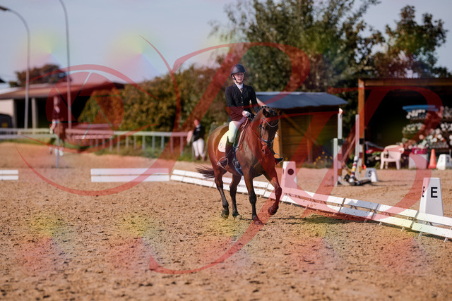 2026_10_03_Siefer-Hof_130740_Z81_58587999 | Professionelle Reitsport-, Turnier- und Eventfotografie von Robert Broda. Galerien mit ausgewählten und bearbeiteten Bildern direkt online ansehen und bestellen.