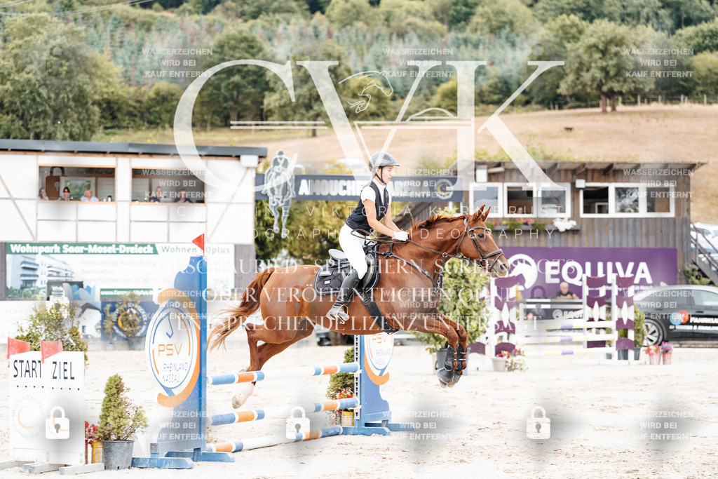 CK908178 | Turnierfotografie Pferdefotografie Trier Rheinland-Pfalz Pferdesport Reitsport Tierfotografie Sportfotografie Pferdevideo Pferdevideografie Equestrianvideography equestrianphotography  - Realisiert mit Pictrs.com