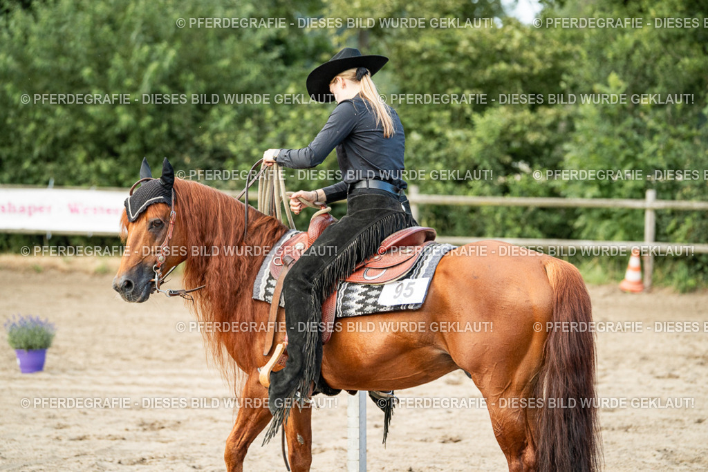 DSC06016 | Pferdegrafie