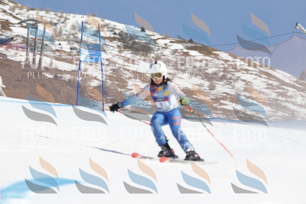 _U3G8490 | holidayphoto