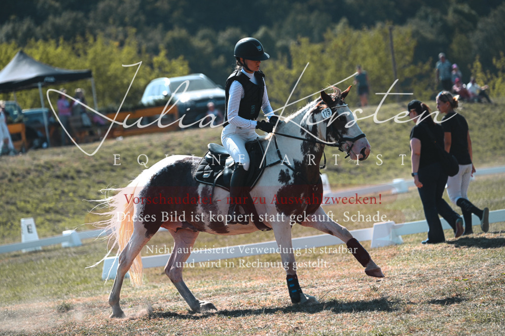 DSC_8095 | Pferde- und Turnierfotografie in Westsachsen. Pferdeportraits, Auftragszeichnungen und intuitive Kunst.