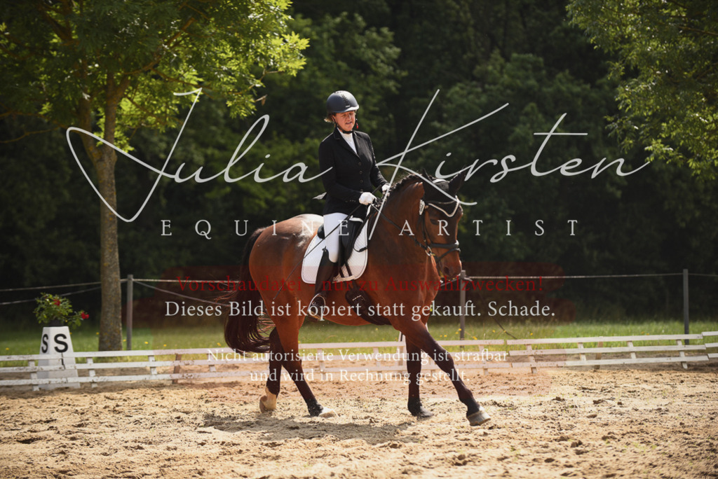 DSC_0788 | Pferde- und Turnierfotografie in Westsachsen. Pferdeportraits, Auftragszeichnungen und intuitive Kunst.