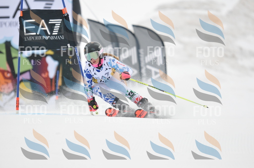 DSC_8109 | holidayphoto