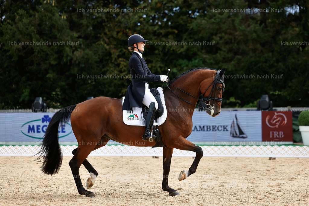 11-003-Dressur S___-StoibPH-1092 | working equitationturnier fotograf videograf stoibphotography marixx film working equitation deutschland reitsport turnierfotografie eventfotografie equestrian events