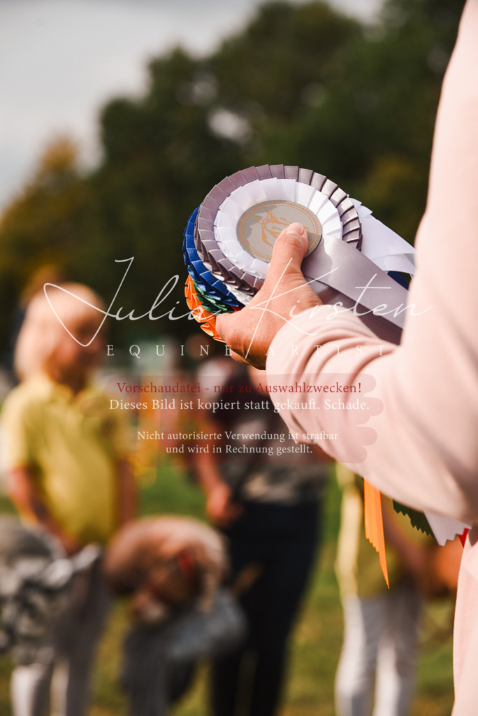 DSC_4748 | Pferde- und Turnierfotografie in Westsachsen. Pferdeportraits, Auftragszeichnungen und intuitive Kunst.