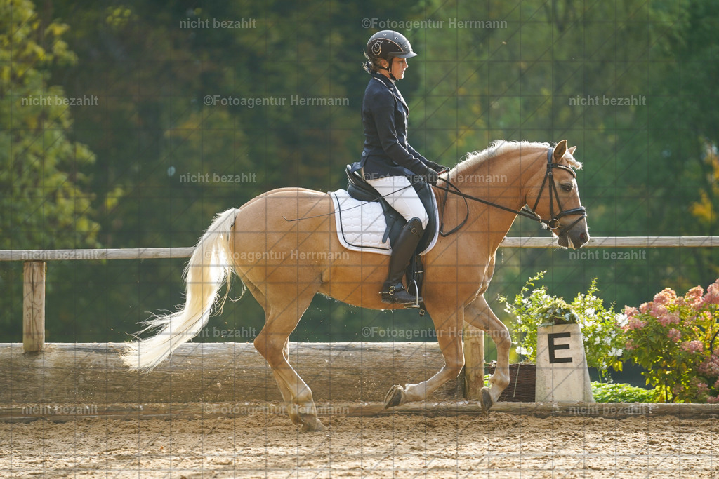 20221008-FAH00803 | Diessen am Ammersee, 2022, Dressur- und Springturnier, Reitsportbilder, Turnierfotografen Bayern, Pferdefotografen, Fotoagentur Herrmann, Turnierbilder