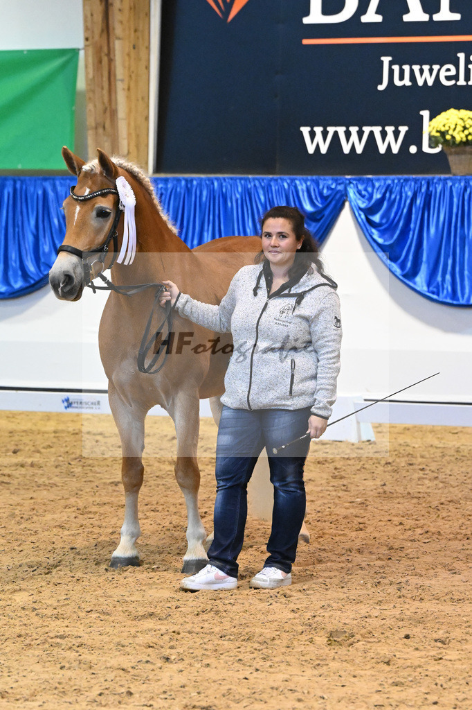 Kat-Nr. 239 Batari_Familie Herrmann_54222376 | hf-fotografie - Realisiert mit Pictrs.com
