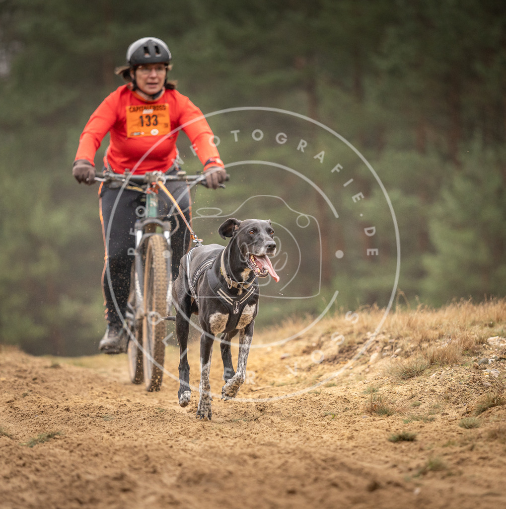 Pfotenfotografie_DV3A3781 | Hundefotografie, Tierfotograf, Pfotenfotografie, Fotoshooting Hund, Hunde Portrait, Hundesport, Hundeportraits, Heideshooting, Hunde, Sportfotograf, Hundefotograf, Turnierhundsport, THS,  - Realisiert mit Pictrs.com
