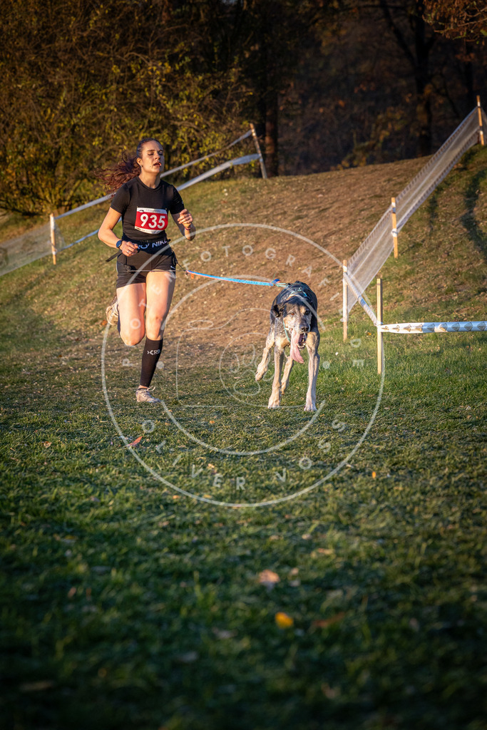 CaniXpix_0L8A1802 | Hundefotografie, Tierfotograf, Pfotenfotografie, Fotoshooting Hund, Hunde Portrait, Hundesport, Hundeportraits, Heideshooting, Hunde, Sportfotograf, Hundefotograf, Turnierhundsport, THS,  - Realisiert mit Pictrs.com