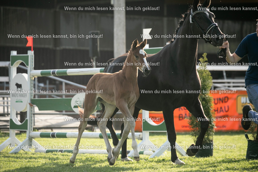 598A7368 | photographylinaismer - Realisiert mit Pictrs.com