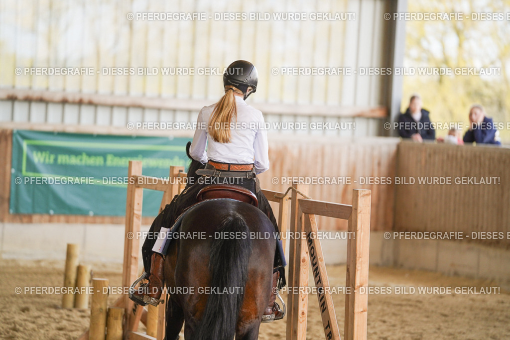 DSC06172 | Pferdegrafie