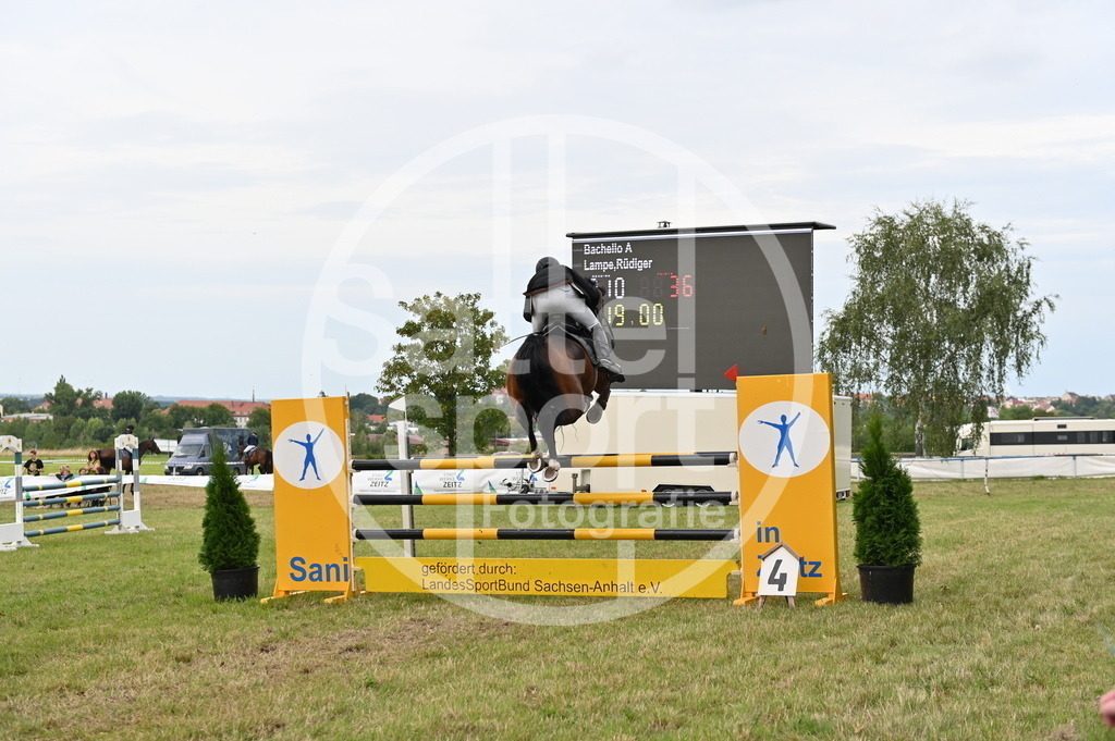 DSC_3907 | sattelsport - Realisiert mit Pictrs.com