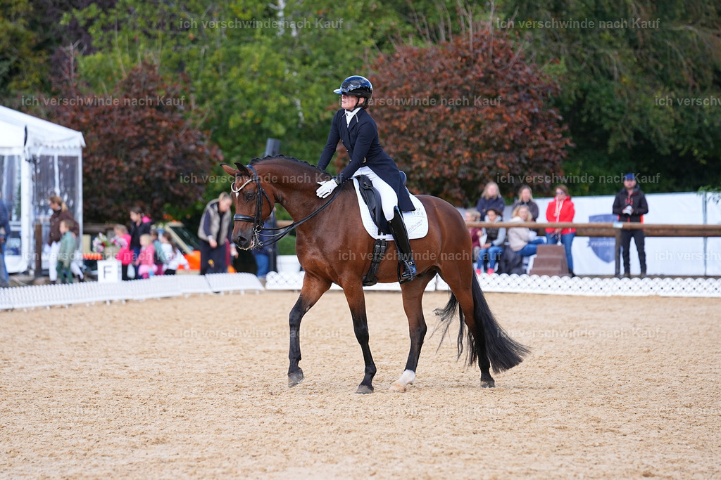 09_2-100-DRESSUR  S_  -Marixx-5984 | working equitationturnier fotograf videograf stoibphotography marixx film working equitation deutschland reitsport turnierfotografie eventfotografie equestrian events