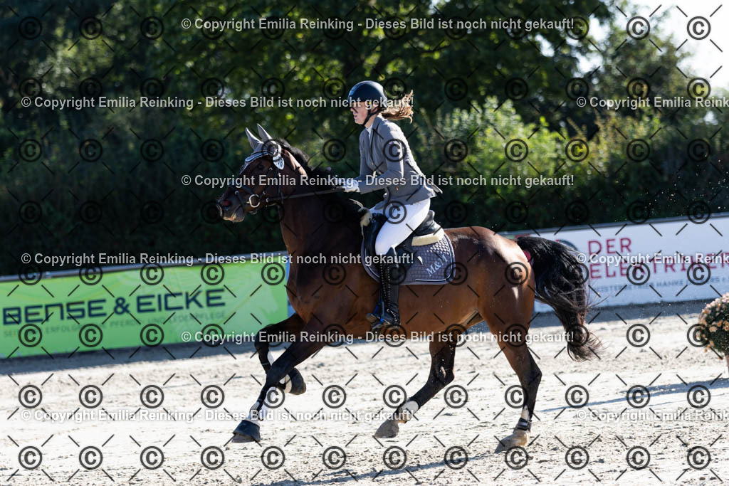 CL5A1218 | Emilia Reinking Fotografie - Realisiert mit Pictrs.com