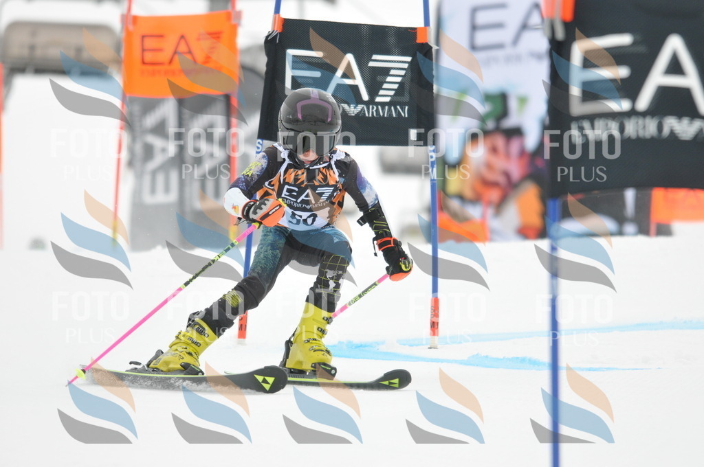 DSC_7709 | holidayphoto