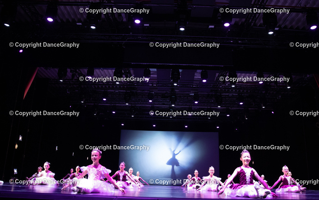 GPHY5233 | DanceGraphy - Realisiert mit Pictrs.com